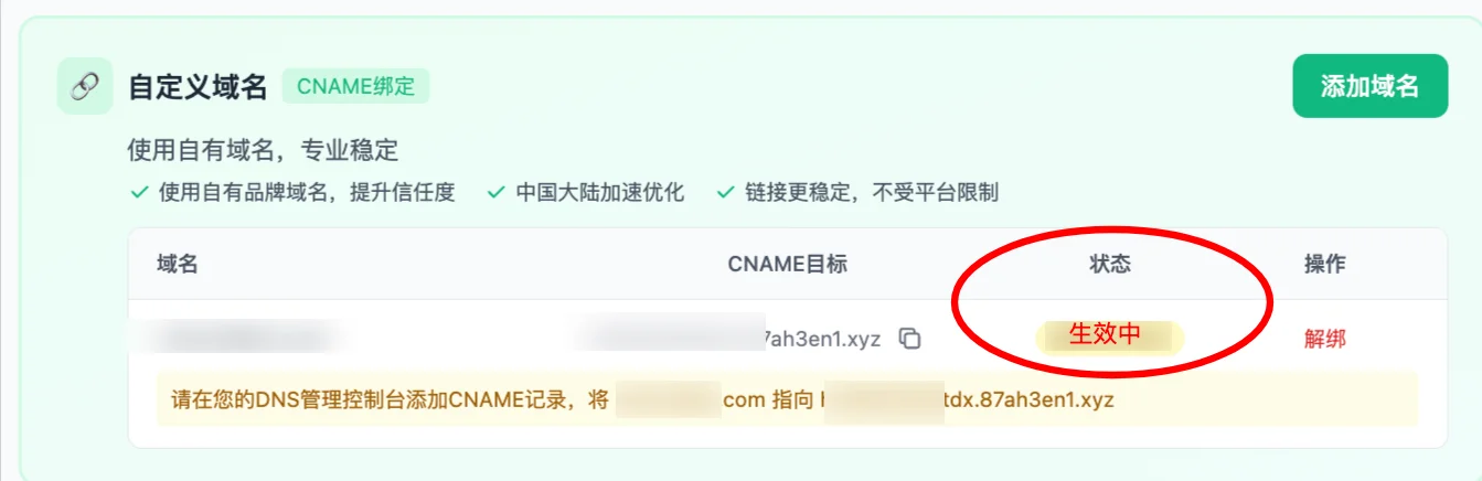 DNS resolution successful - status shows Active